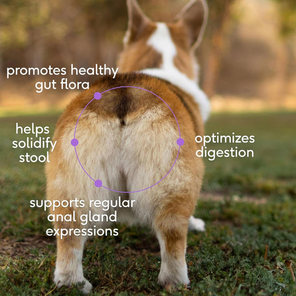 Native Pet Wondergland Anal Gland Support Supplement for Dogs