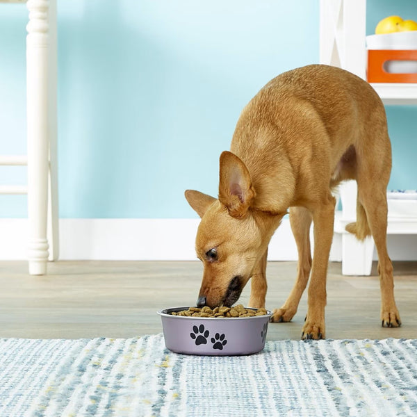 Loving Pets Metallic Grape Non-Skid Stainless Steel Bowl For Dog & Cat (Small)