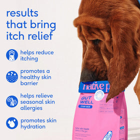 Native Pet Gutwell Itchy Skin, Anti Itch Supplement For Dogs (60 scoops)