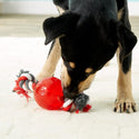 Ethical Play Strong Ball with Rope Red Toy For Dog (3.25")