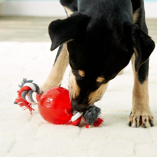 Ethical Play Strong Ball with Rope Red Toy For Dog (3.25")