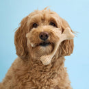 BetterBone Soft Density Classic Flavor Chew Toy For Dog