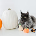 Pearhead Pawloween Toy Set For Cat