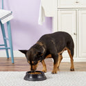 JW Pet Skid Stop Heavyweight Bowl For Dogs & Cats (Assorted Colors)