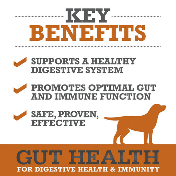 WINPRO Dog Gut Health & Immunity (60 Chews)