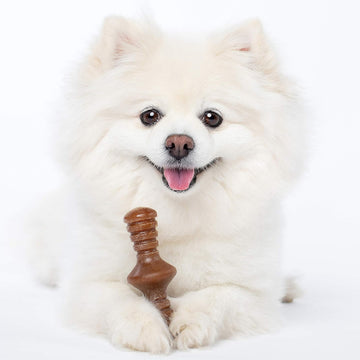 Benebone Puppy Pack Maple Wood Flavor Chew Toy for Puppies (2 chews)