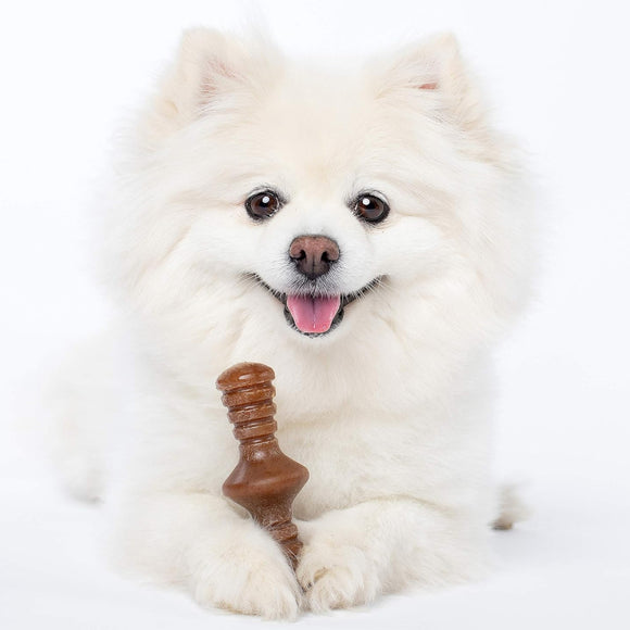 Benebone Puppy Pack Maple Wood Flavor Chew Toy for Puppies (2 chews)