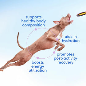 Native Pet Goat Milk Powder Recovery & Energy Support For Active Dogs 