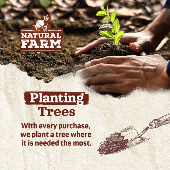 Fieldcrest Farms Nothin' to Hide Collagen & Bully Spirals Treats For Dog