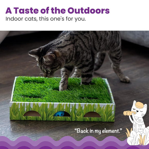 Petstages Grass Patch Hunting Box Toy For Cats