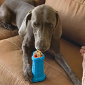 KONG Treatster Treat Dispenser Toy For Dog (Large)