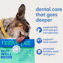 Native Pet Gutwell Clean Breath, Dental Care Supplement for Dogs (60 scoops)