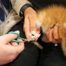 Li'l Pals Nail Trimmer For Kitten