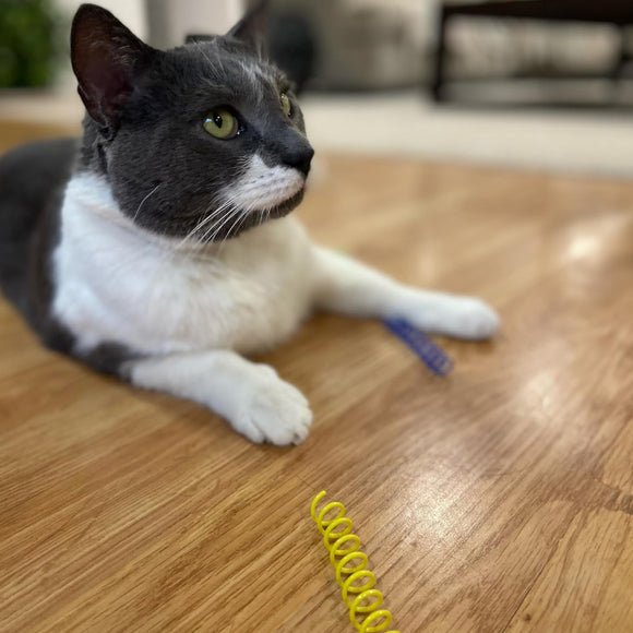 Ethical Colorful Springs Thin 10 pack Toy For Cat