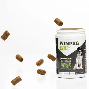 WINPRO Dog PlaVET+ 420 gm (60 Count)