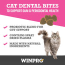 WINPRO Cat Dental Bites (120 Bites)