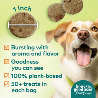 Honest To Goodness Mellow Belly Pumpkin & Cinnamon Digestive Support Treats For Dog (8 oz)