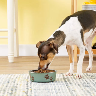 Loving Pets Metallic Artichoke Non-Skid Stainless Steel Bowl For Dog & Cat