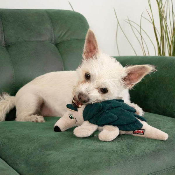 Kong Layerz Foraging Toy (Armadillo) For Dog