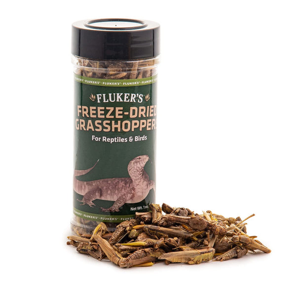 Fluker's Freeze-Dried Grasshoppers for Reptiles & Birds Treats (1 oz)