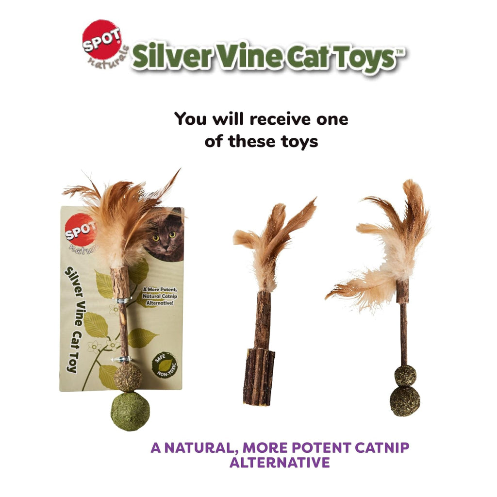 Ethical Spot Naurals Silver Vine Toy For Cat (Medium) Assorted