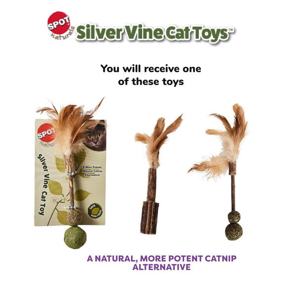 Ethical Spot Naurals Silver Vine Toy For Cat (Medium) Assorted