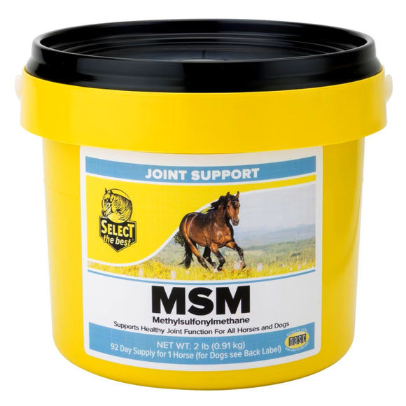 Select the Best MSM Joint Support for Horses