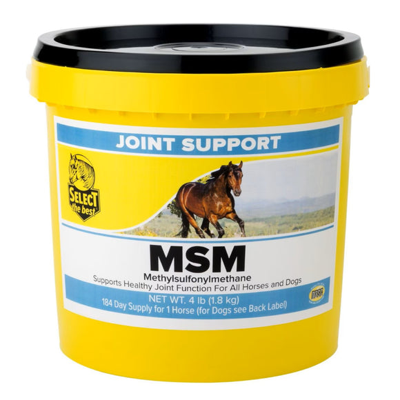 Select the Best MSM Joint Support for Horses