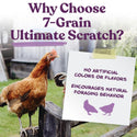 Manna Pro 7-Grain Ultimate Scratch Poultry Treat (10 lb)