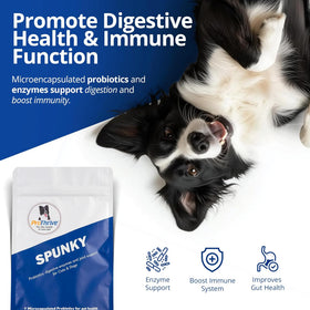 ProThrive Spunky Probiotics (Digestive Enzymes & Joint Support Supplement) for Dogs