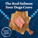 Blue Buffalo Wilderness Trail Treats Salmon Biscuits for Dogs (10 oz)