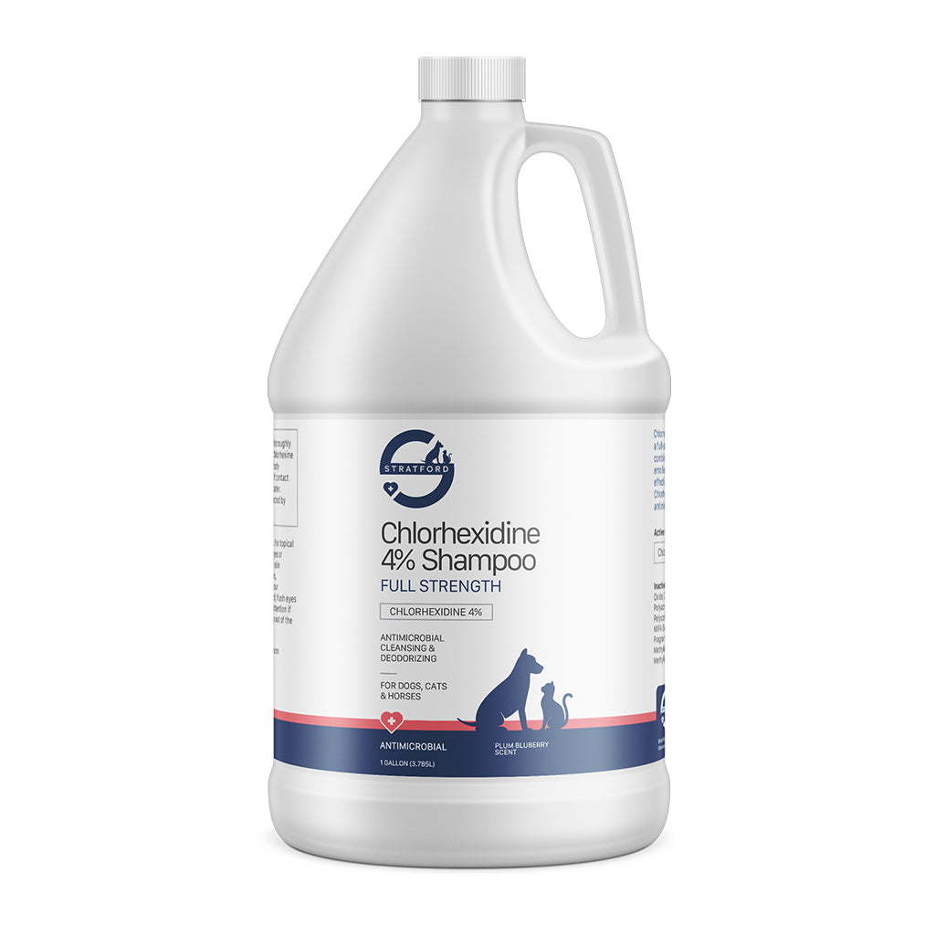 Stratford Chlorhexidine 4% Antimicrobial, Cleansing & Deodorizing Shampoo