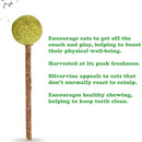 Meowijuana Lollies Silvervine Sticks with Catnip for Cats (3 ct)