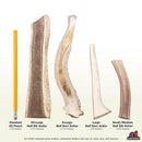 Redbarn Half Elk Antler Dog Chew