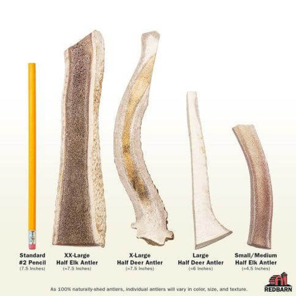 Redbarn Half Elk Antler Dog Chew