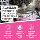 WINPRO Cat Dental Bites (120 Bites)