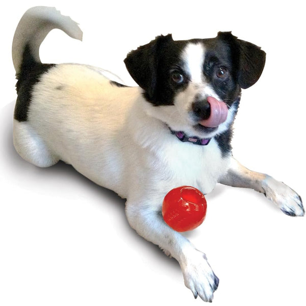 Ethical Play Strong Ball Toy For Dog (2.5")