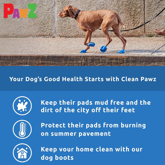 Pawz Boots For Dog (Medium)