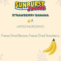 Higgins Sunburst Freeze Dried Fruit Strawberry Banana Treats For Birds 0.5 oz