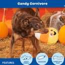 BARK Candy Cornivore Plush Toy For Dog