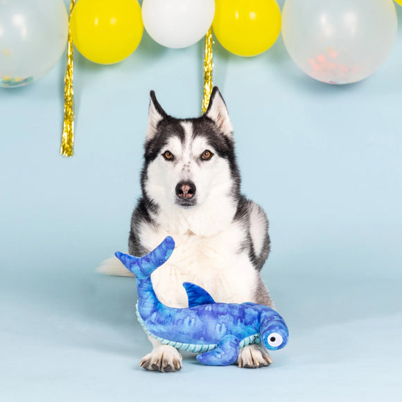 PetShop by Fringe Studio Nailed It Hammerhead Shark Plus Toy For Dog