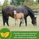 Farnam Mare Plus Gestation & Lactation Supplement