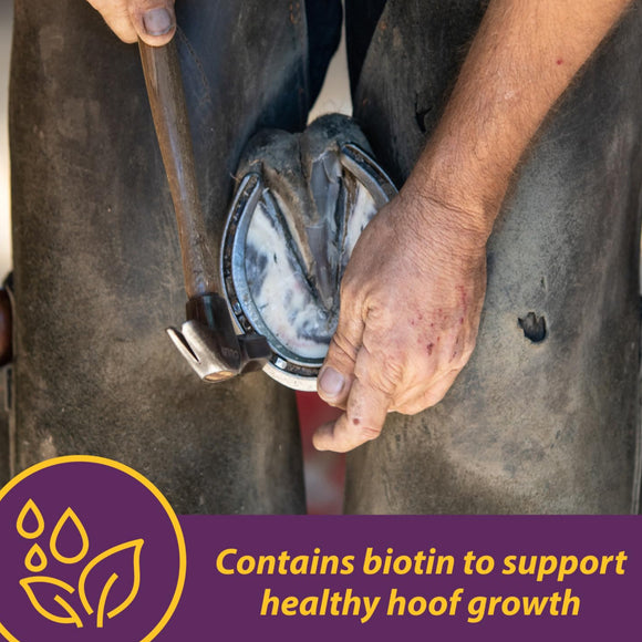 Horse Health Products Vita-Biotin Cumbles Hoof Supplement for Horses (3 lb)