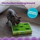 Petstages Grass Patch Hunting Box Toy For Cat