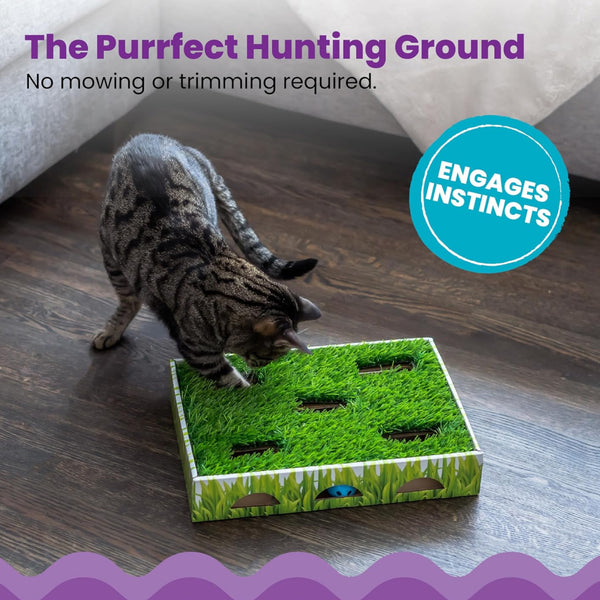 Petstages Grass Patch Hunting Box Toy For Cat