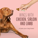 Better Belly Rawhide Triple Flavor Chicken (Sirloin & Lamb Wings)Treats For Dog 10 pack