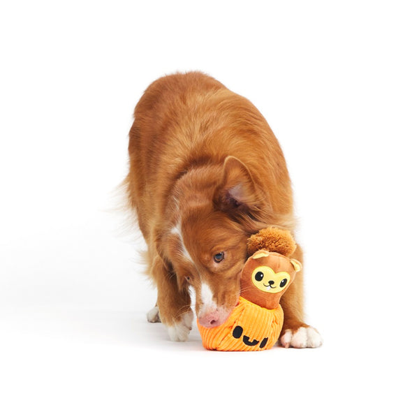 Bark Squirrel O' Lantern Plush Toy For Dog (Small)