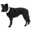 Ruffwear Swamp Cooler Cooling Neck Gaiter (Graphite Gray) For Dog