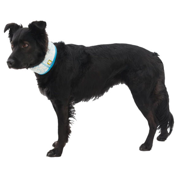 Ruffwear Swamp Cooler Cooling Neck Gaiter (Graphite Gray) For Dog