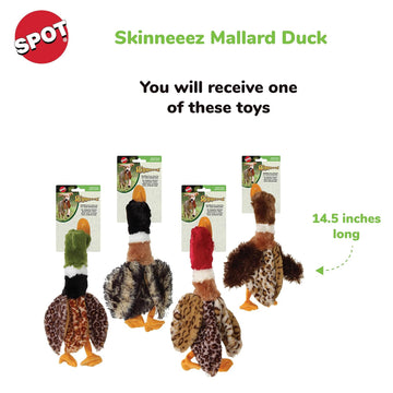 Ethical Pet Skinneeez Barnyard Series Stuffing-Free Plus Mallard Duck Toy for Dogs, assorted colors - 0
